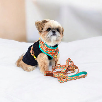 Southwest Spirit Leash
